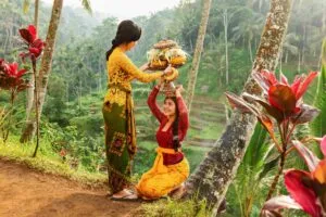 Indonesia travel tour trip package - indonesia holiday travel package