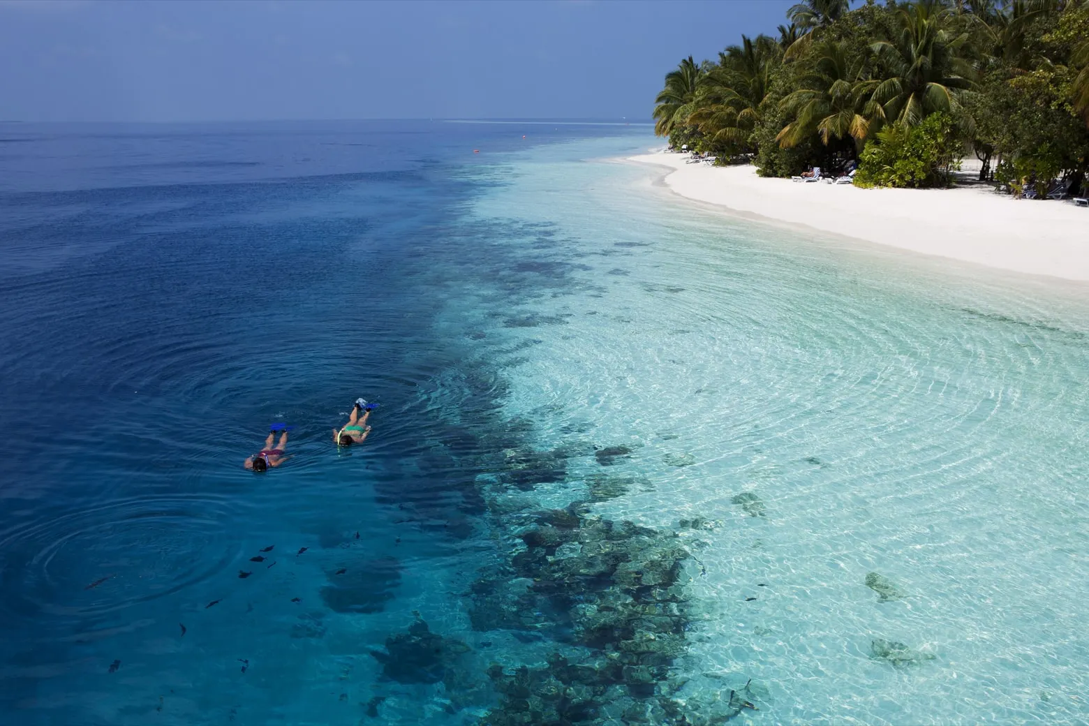 Vilamendhoo Island Resort & Spa Maldives