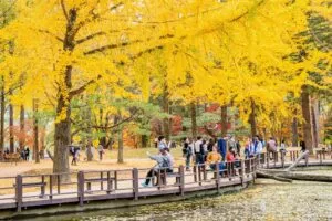 trip travel to Seoul Korea - trip travel ke Korea