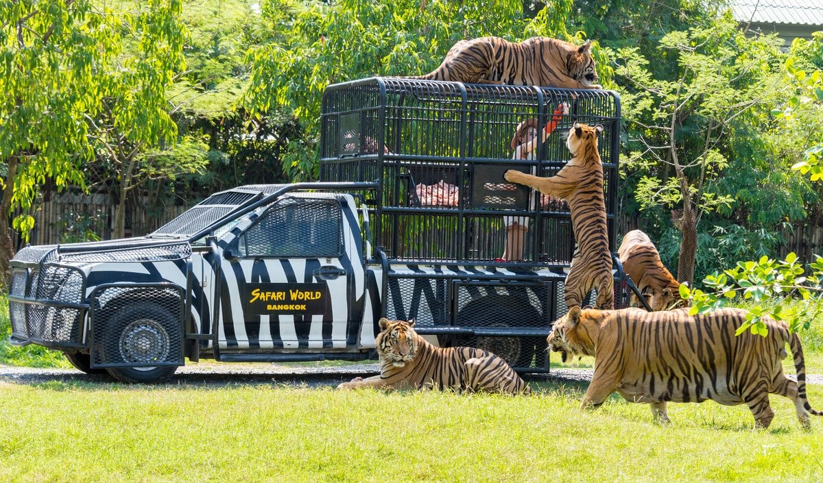 Bangkok Safari World package tour - Safari World Bangkok Thailand