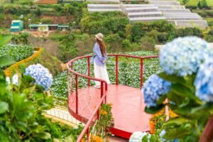 pakej bercuti & travel ke Da Lat - Dalat Vietnam travel package