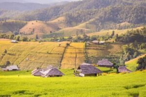 Sapa Vietnam tour package - pakej travel to Sapa Vietnam