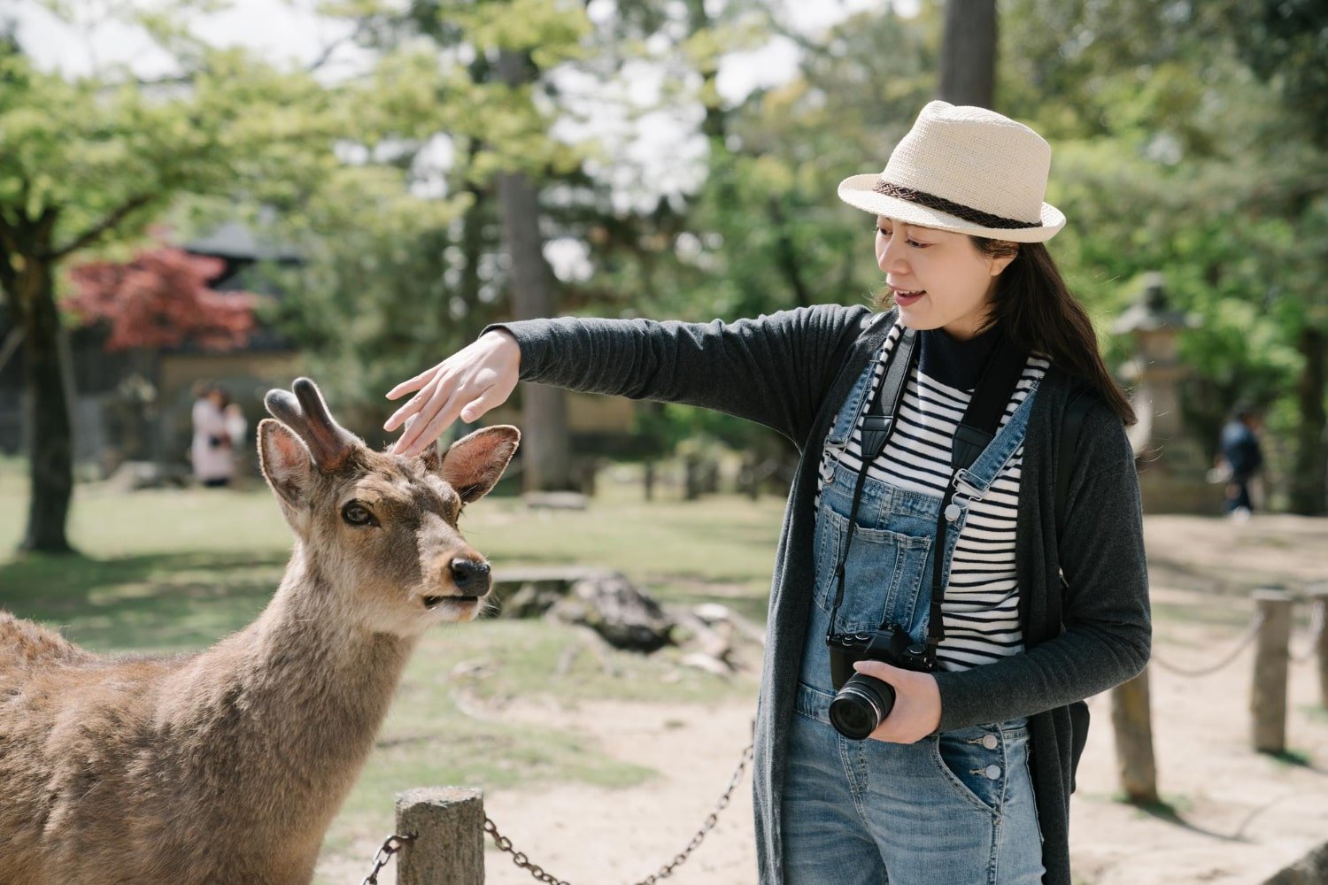 Osaka travel package - Osaka Japan tour package
