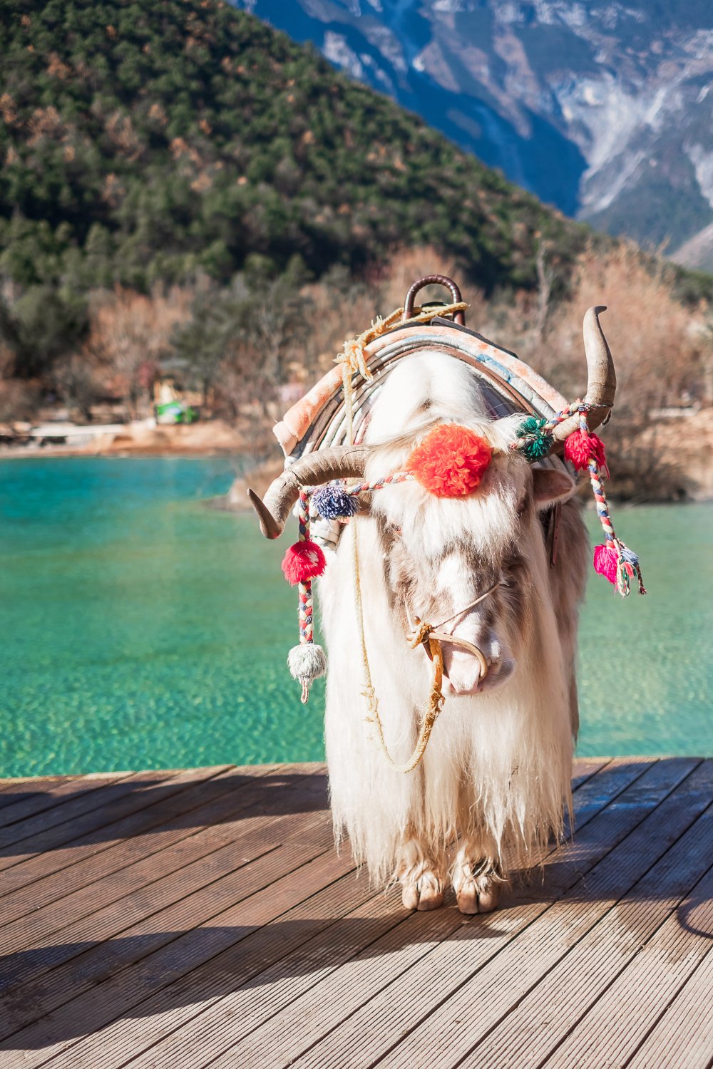 tour to Yunnan travel and trip - pakej trip ke Yunnan