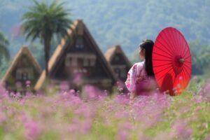 Khao Yai Bangkok tour - Khao Yai trip package